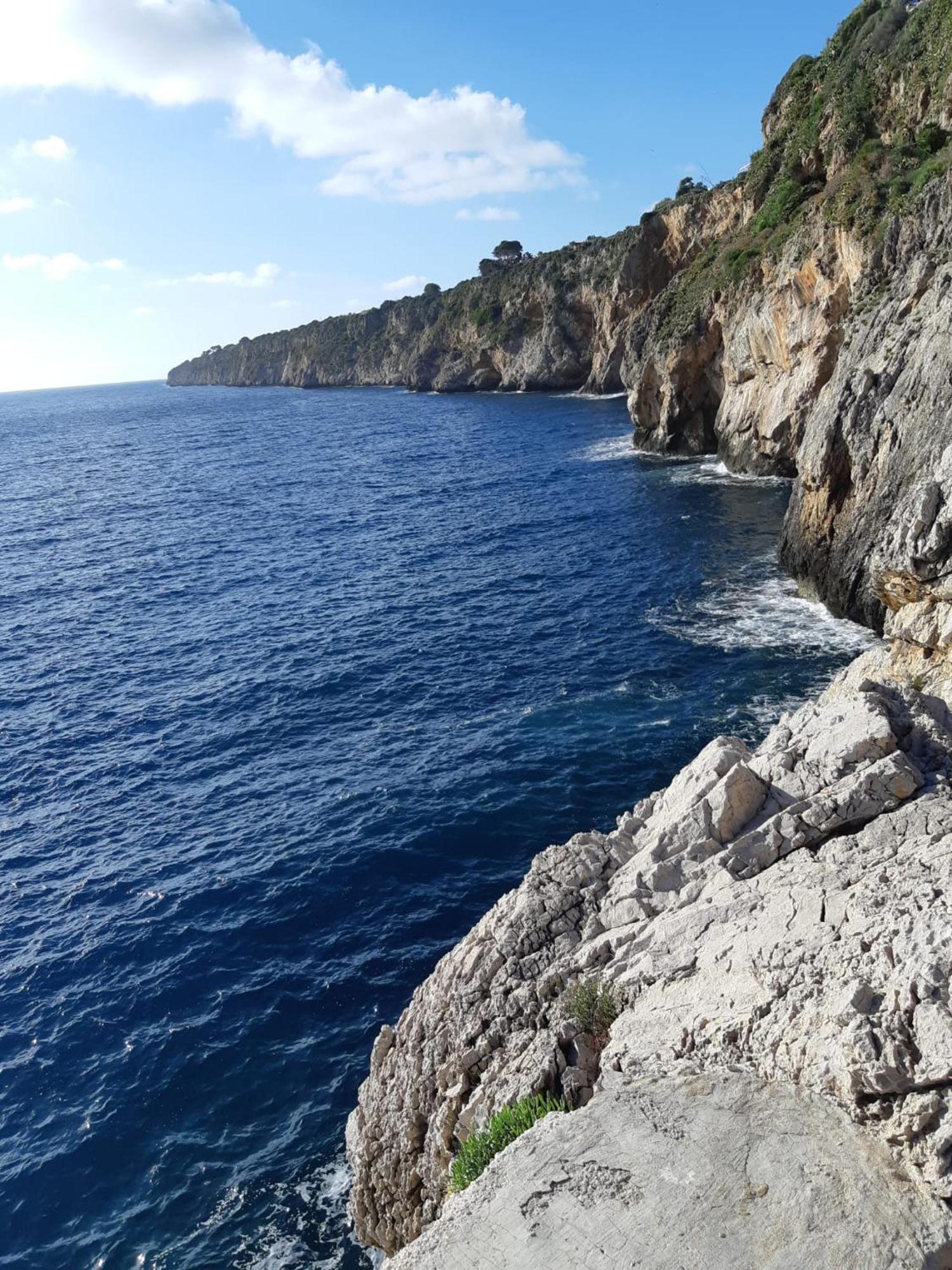 Villa Al Mare 'Happy Summer' Terrasini Dış mekan fotoğraf