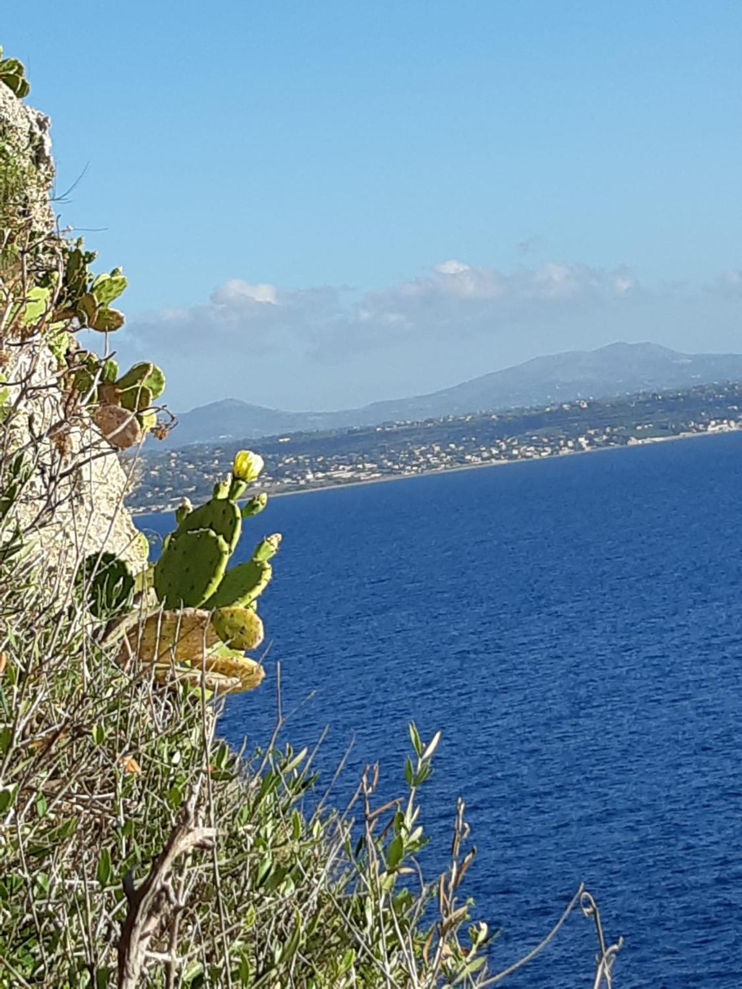 Villa Al Mare 'Happy Summer' Terrasini Dış mekan fotoğraf